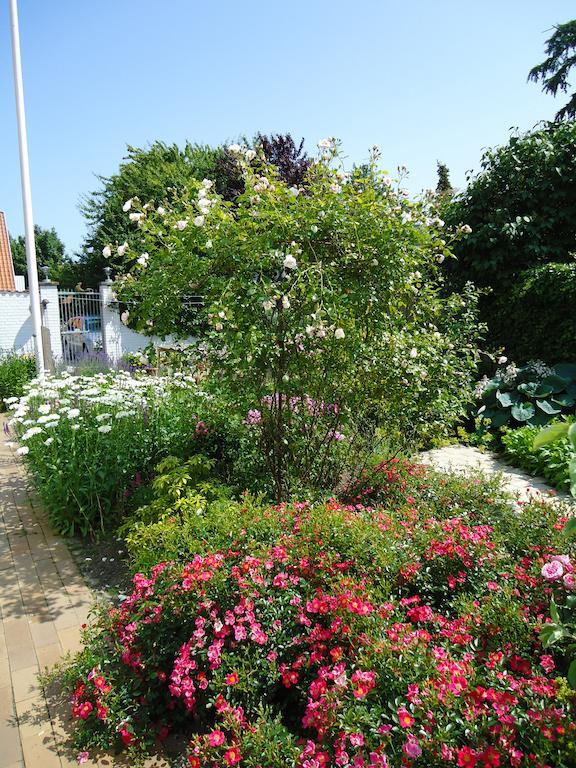 Foldenhus Ferieboliger Og B&B Bogense Exteriör bild